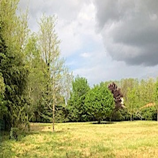 Offres de vente Terrain Landiras 33720